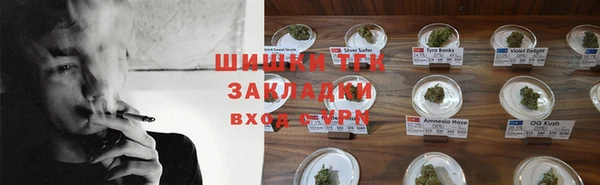 PSILOCYBIN Костерёво
