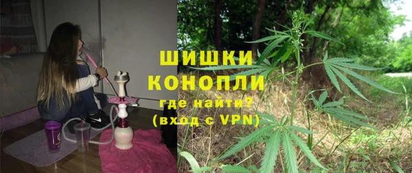 PSILOCYBIN Костерёво