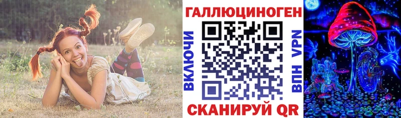 Купить где Белоозёрский Галлюциногенные грибы мицелий